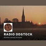 Radio Odstock logo