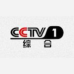 CCTV1电视伴音 logo