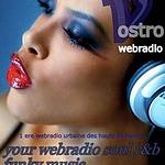 Vostro webradio logo