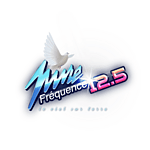 Pure fréquence 12.5 logo