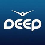 Рекорд Deep (Record Deep) logo