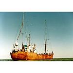 And The Beat Goes On logo