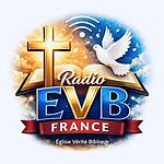 Evb Radio France logo