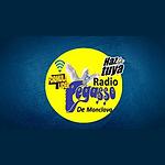 Radio Pegasso de Monclova logo