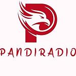 Pandi Radio logo