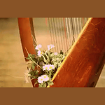 Radio Art - Solo Harp logo
