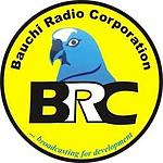 BRC FM Jama'are logo