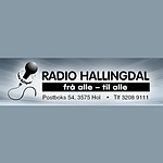 Radio Hallingdal logo