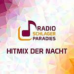Radio Schlagerparadies - Hitmix der Nacht logo