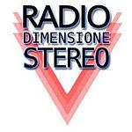 Radio Dimensione Stereo logo