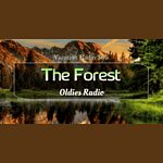 Vacation Radio 365 , The Forest logo