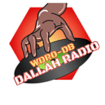 Dallah Radio - WDRO-DB logo