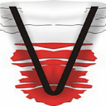 ViennaPLus Polska logo