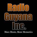 Radio Guyana Inc. logo