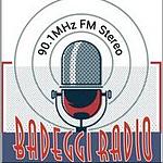 Badeggi Radio 90.1 FM