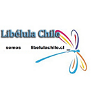 LibelulaChile.cl
