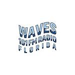 WAVES 101 FM logo