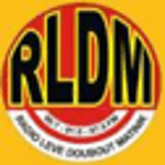 RLDM logo