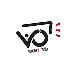 Voicesgh Radio logo