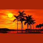 24/7 Deep Sleep Music Relaxing Music Insomnia Sleep Relaxing Music Study Sleep Meditation logo