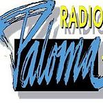 Radio Paloma