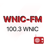 100.3 WNIC logo