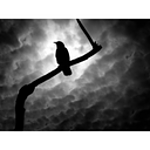 Altrockisdead.com logo