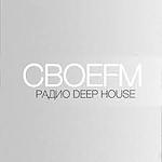 Свое ФМ Deep Radio logo