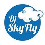 RADIO SKYFLY