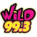 KWLZ Wild 99.3 FM