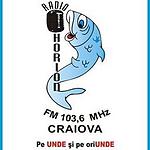 Radio Horion 103.6 FM