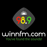 WINN Media Skn logo