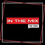 The Voice In The Mix