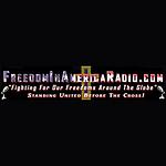 Freedom in America Radio logo