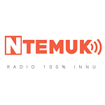 Ntemuk.com logo