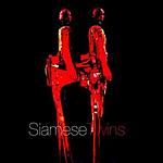 SiameseTwins logo