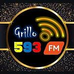 593 Grillo FM