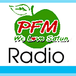 94PFM