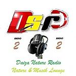 Daiza Nature Radio logo