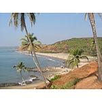 4Lobos Pop & Oldies Radio Station logo