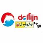 Dolfijn 97.3 FM Bright Top 40 logo