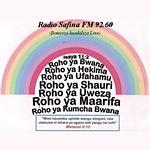 Radio Safina FM logo