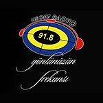Hedef Radyo 91.8 FM