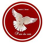 LA RADIO DE LA REVELATION logo