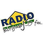 Radio Birgunj FM logo