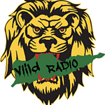 www.viildradio.com logo