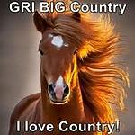 GRI BIG Country