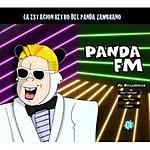 pandafm logo