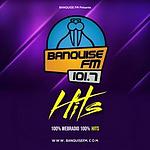 Banquise Hits logo
