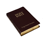 The Berean Bible Study logo